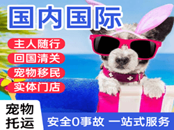 南宁航空物流国际宠物托运 【国